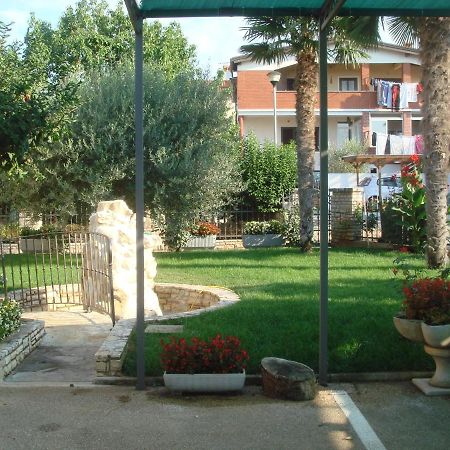 Apartments And Rooms Branka Новиград Екстериор снимка